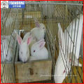 Rabbit Cage /Pet Rabbit Cage/Rabbit Farming Cage (hot sale and best price)